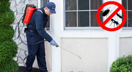 Eceabat Karınca İlaçlama böcek ilaçlama ve haşere kontrolü — ilaclama-tr.com